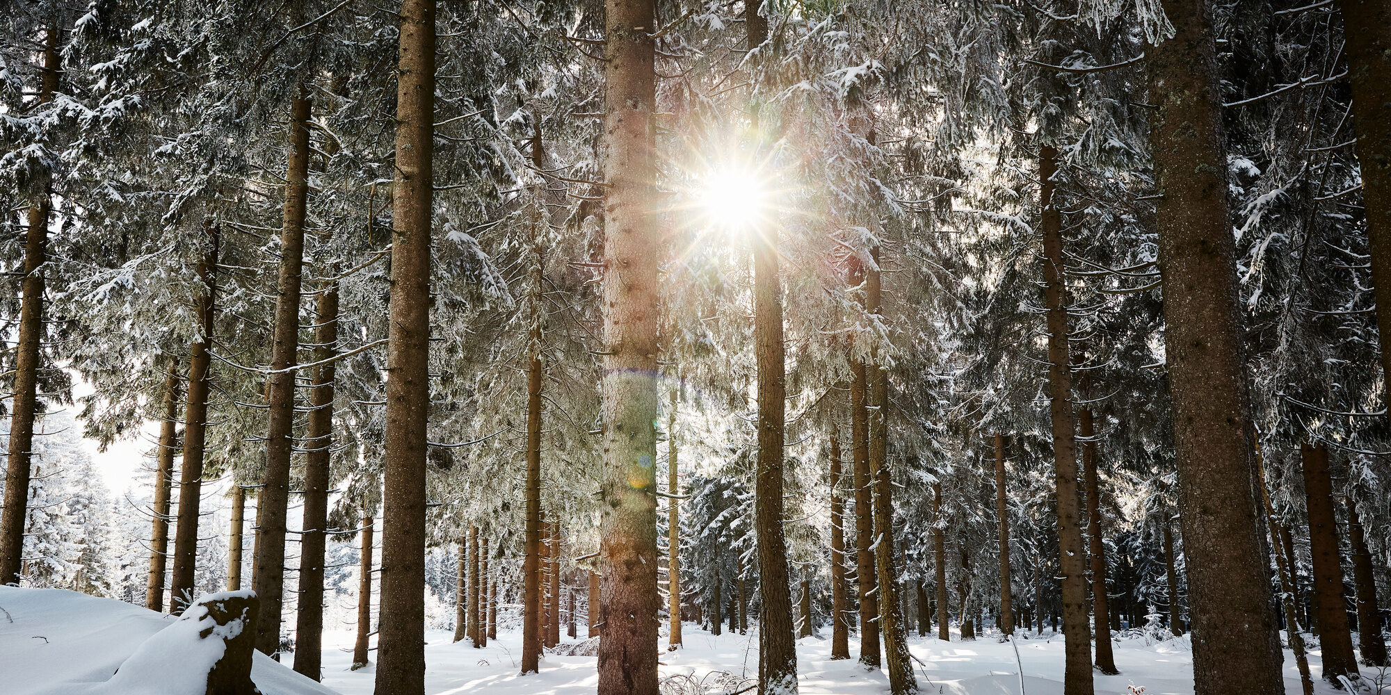 Langlaufurlaub Bayerischer Wald im Chalet - Berghütte im Bergdorf Bayerischer Wald