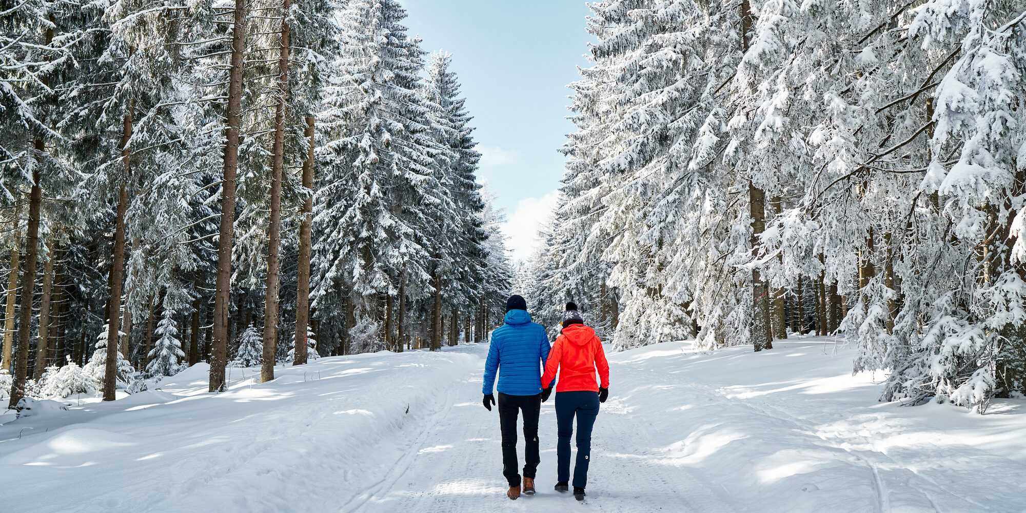 Schneeschuhwanderung durch den Bayerischen Wald