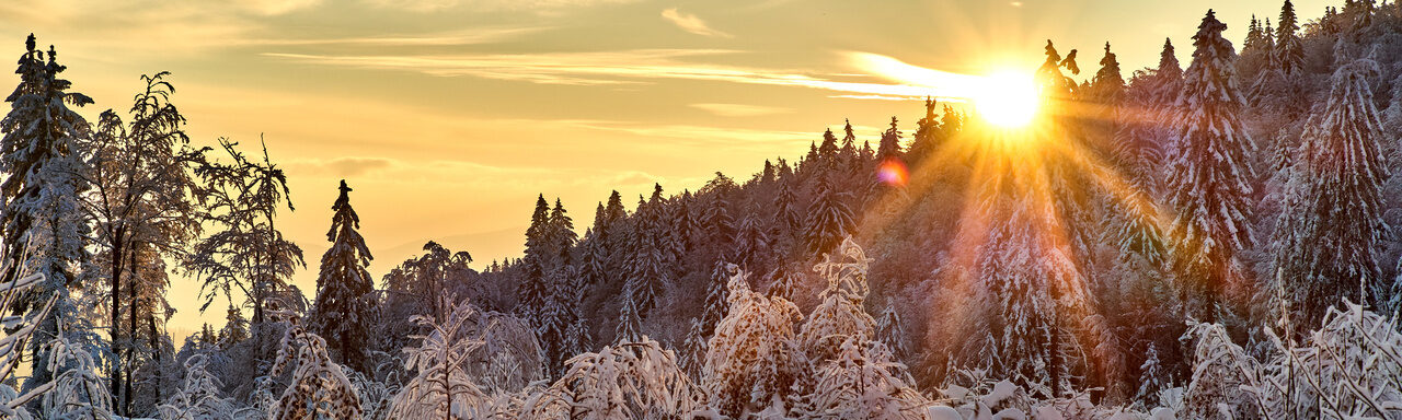 Winterurlaub Bayerischer Wald im Bergchalet